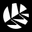 New Zealand Cricket logo