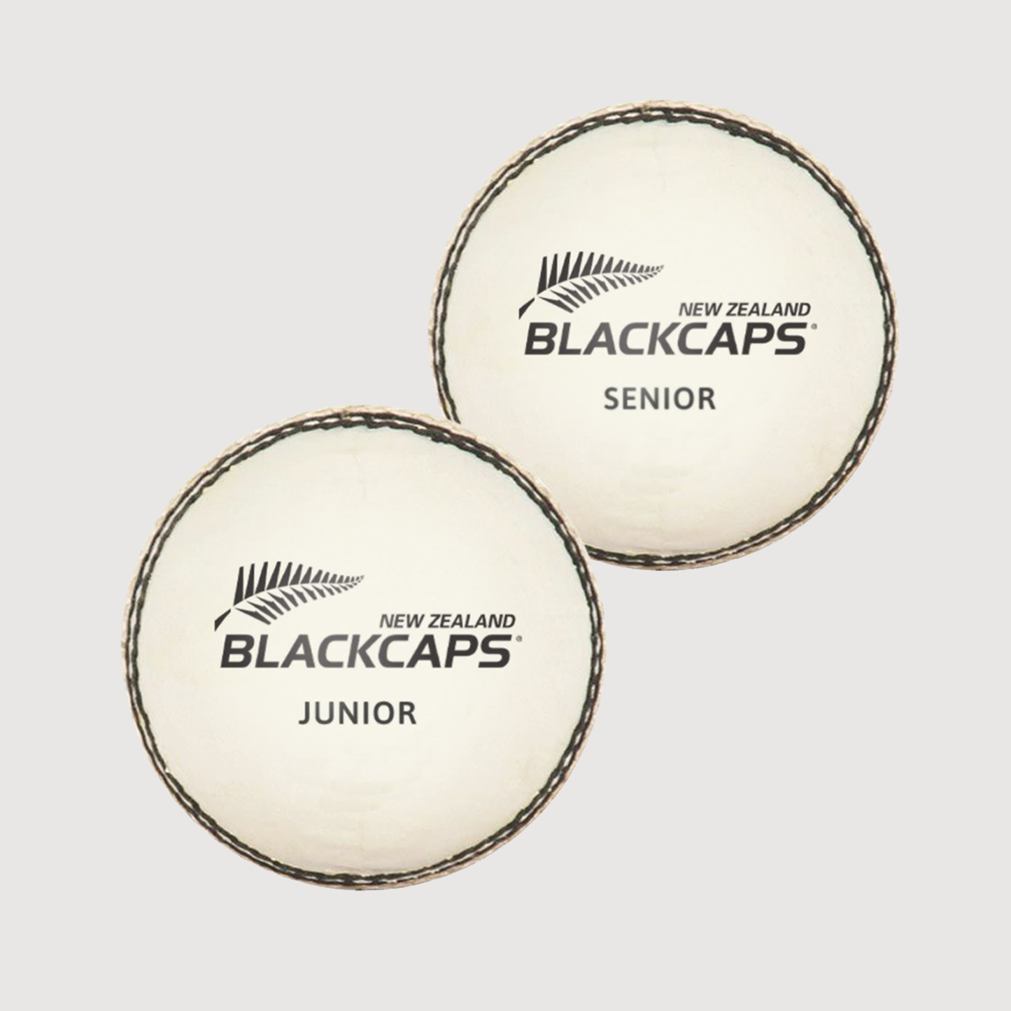 NZC Leather Cricket Ball White